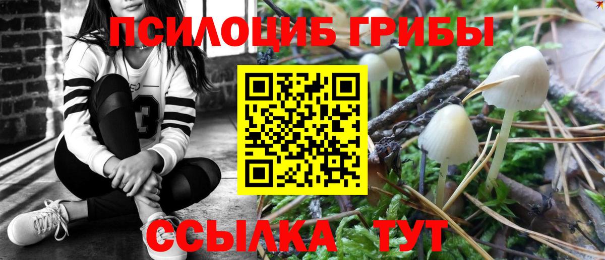 Миллерово  Галлюциногенные грибы прущие грибы  Вход с VPN 